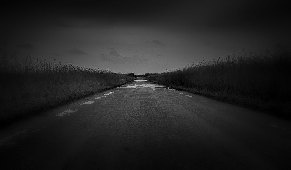 Emptines – Stefano Livi