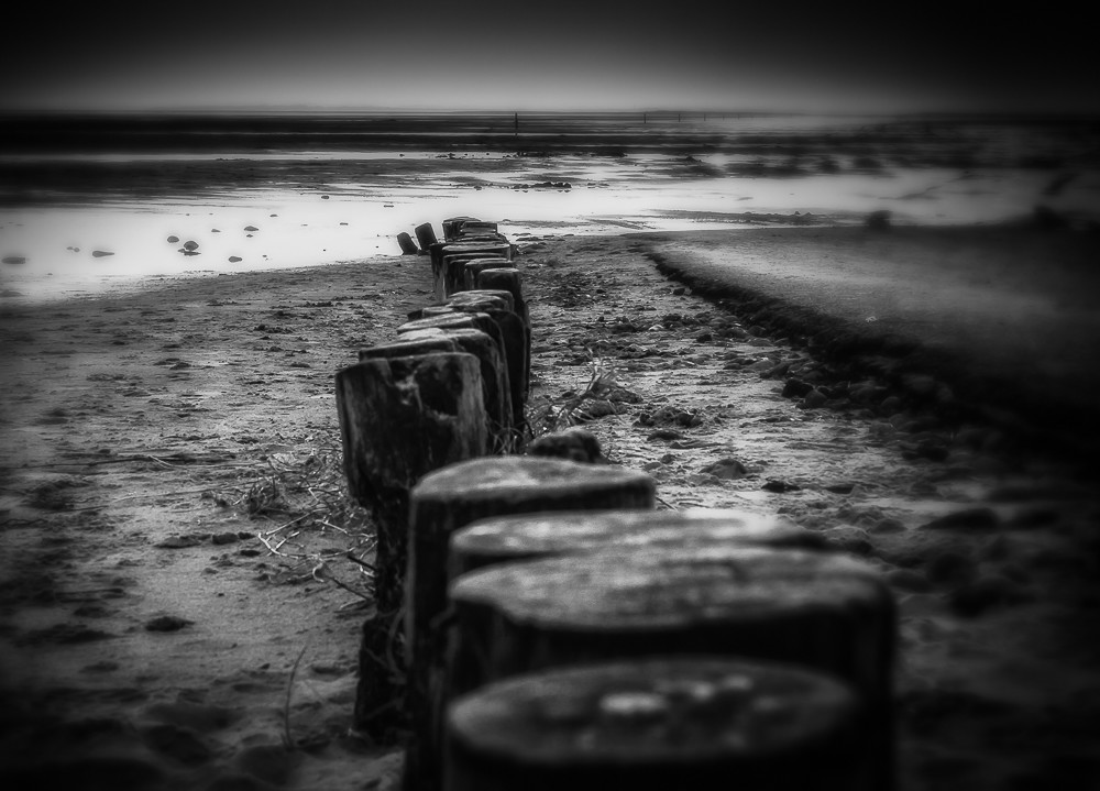 Follow the way_ – Stefano Livi