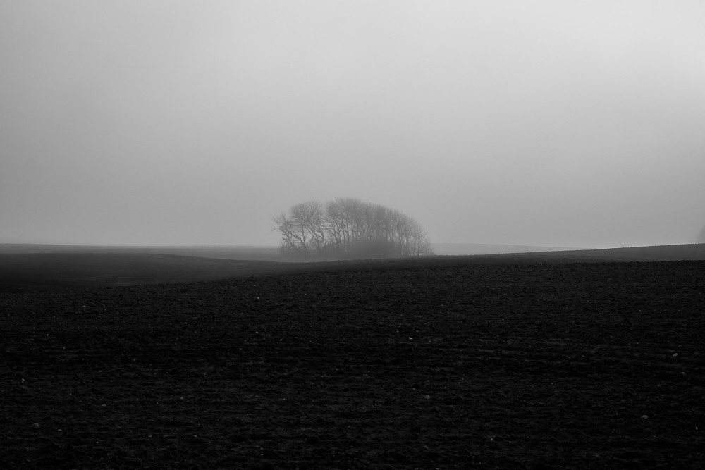 Silent 3 – Stefano Livi