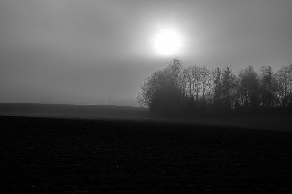 Silent 4 – Stefano Livi
