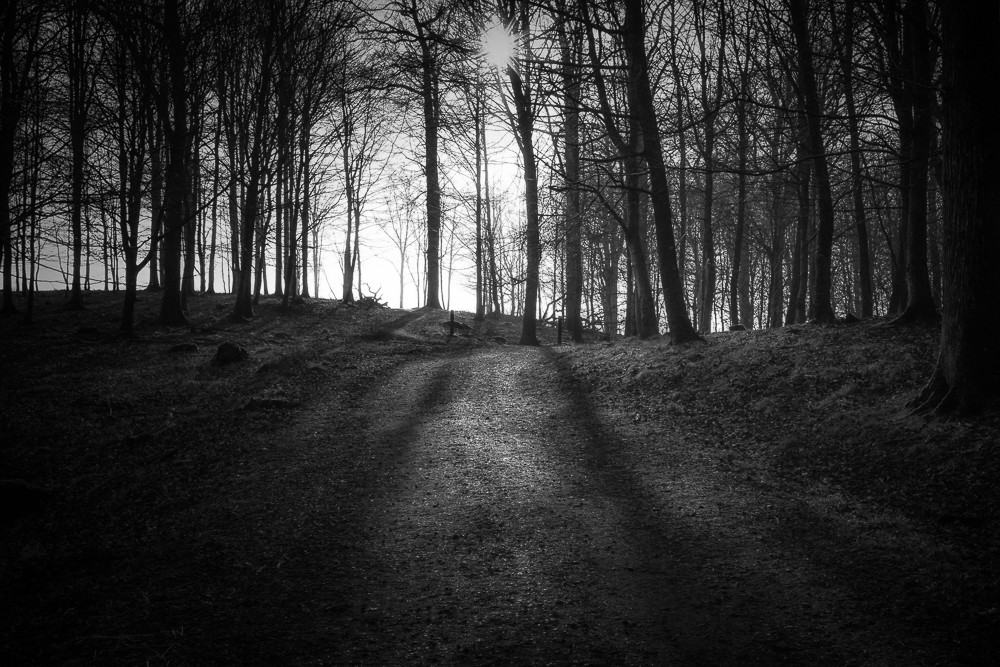 Silent 5 – Stefano Livi