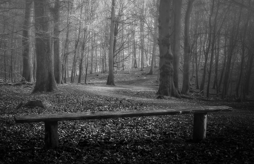 follow the mist 1 – Stefano Livi