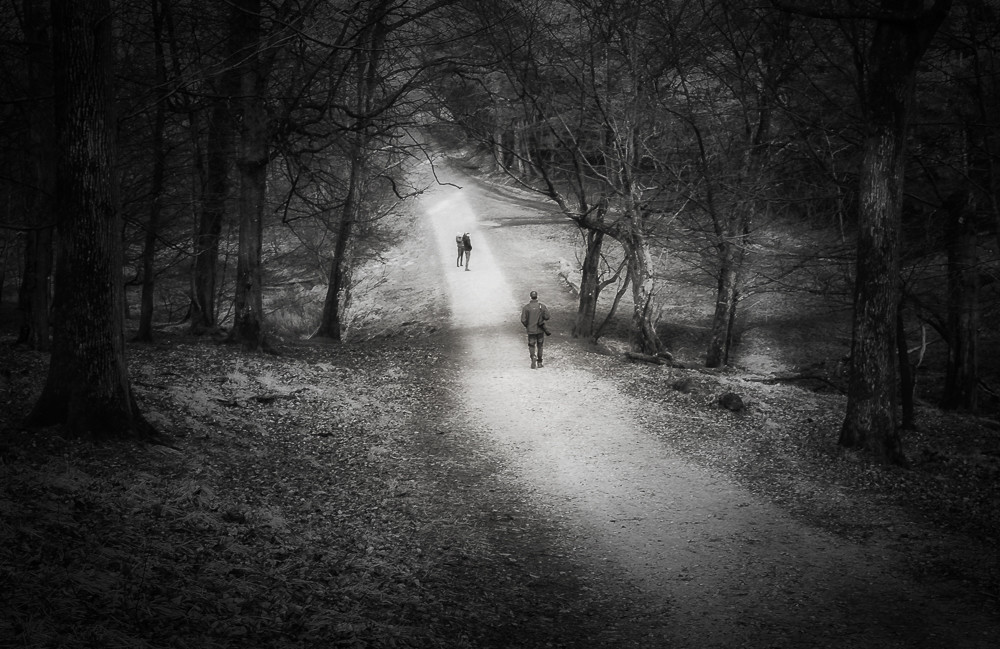 A Friend and also Teacher_ – Stefano Livi