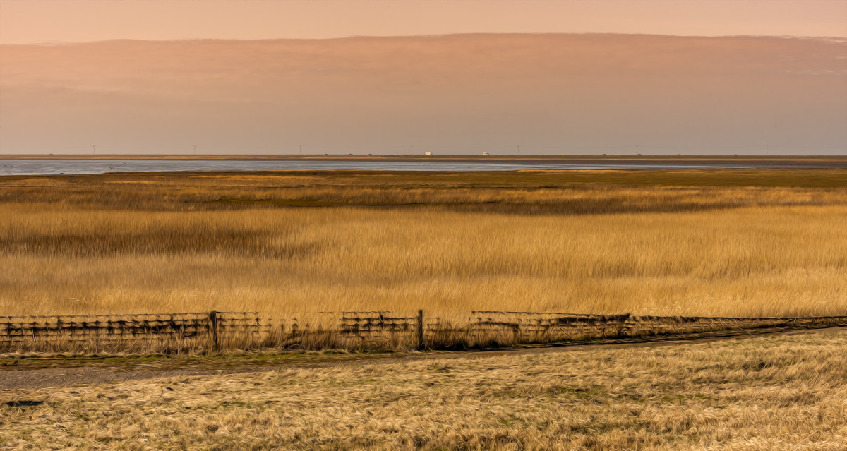 Golden – Mikkel