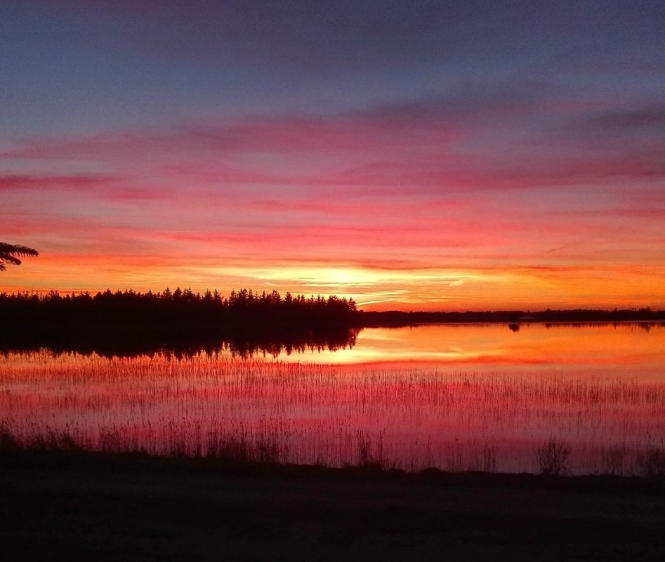Solnedgang over Førby sø – Eva Olsen