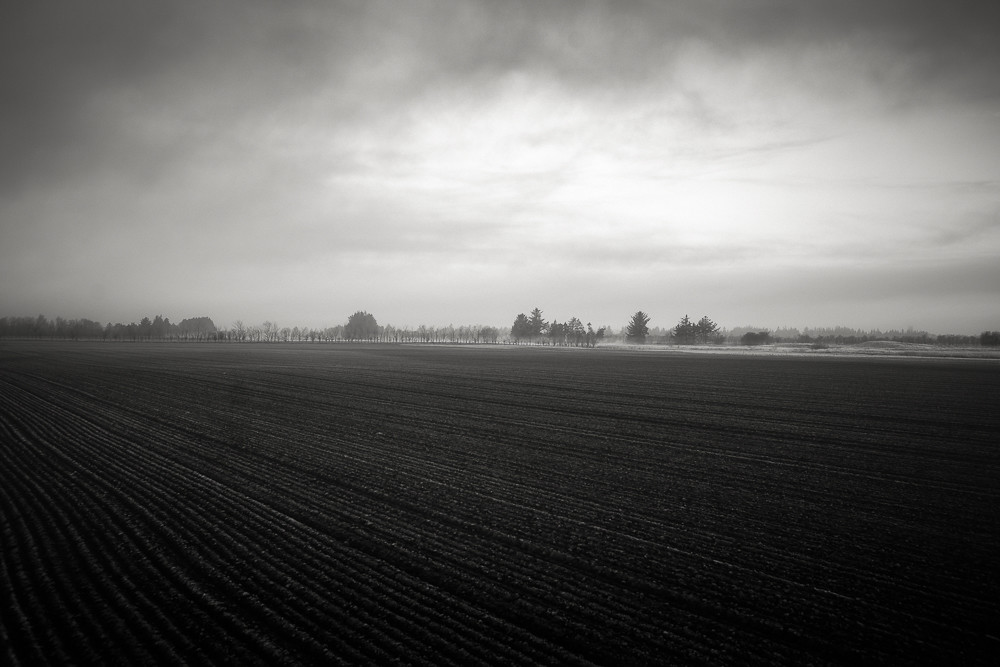 Misty morning 1_ – Stefano Livi