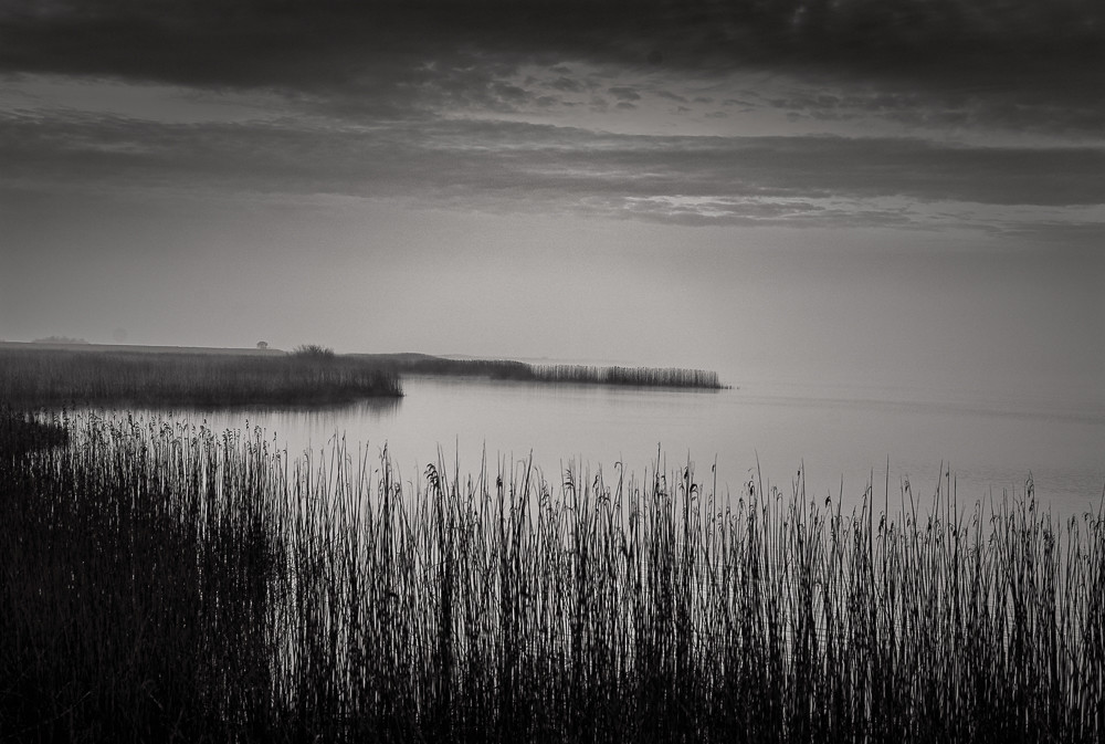 Magic morning_ – Stefano Livi