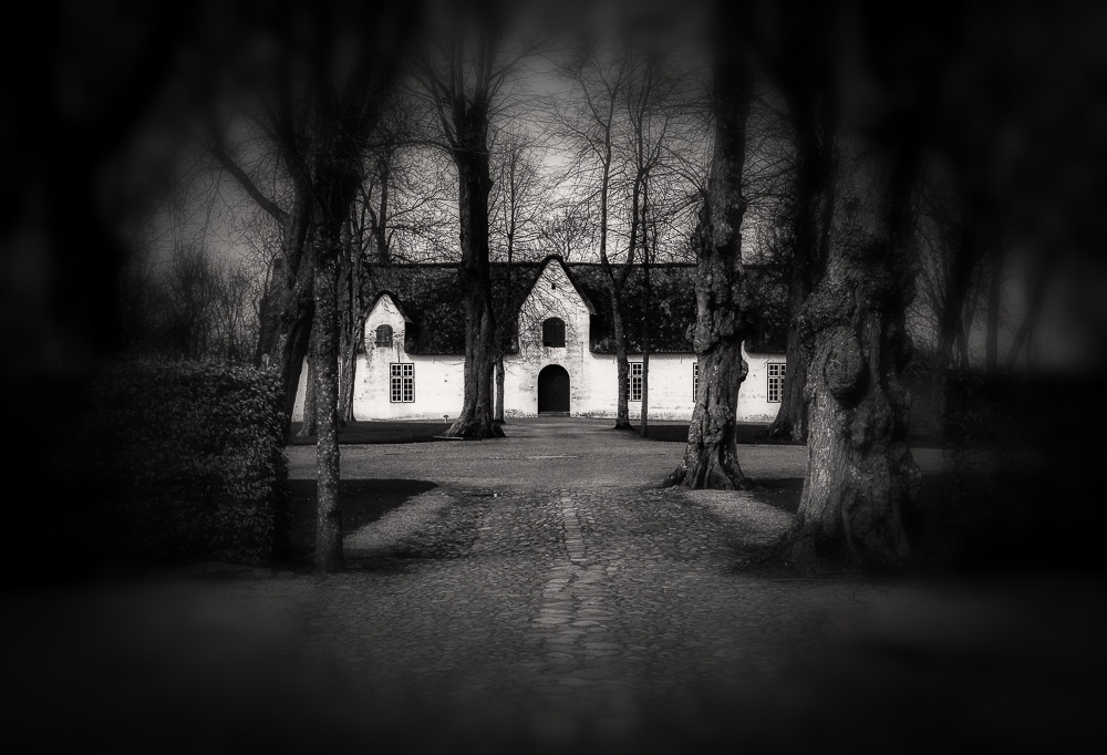 Behind – Stefano Livi