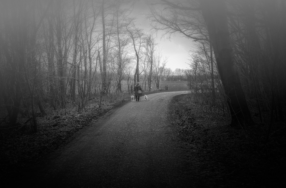 Walking trough the mist_ – Stefano Livi