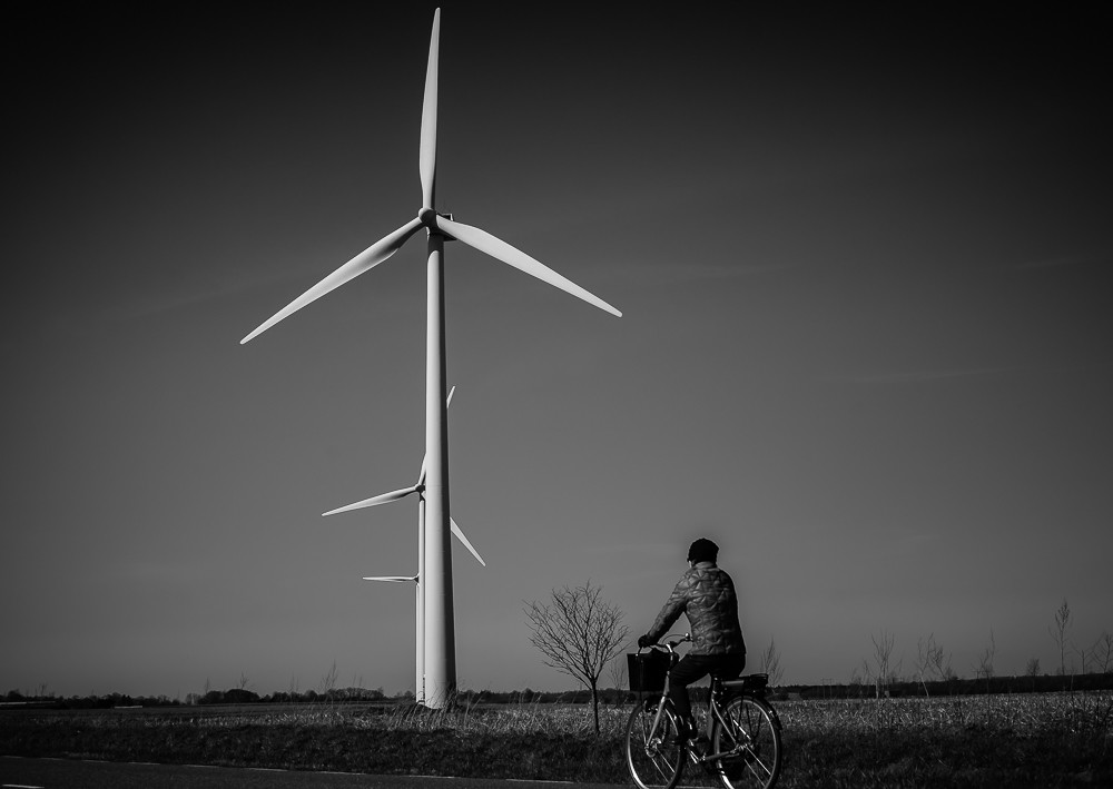 Windmills vs woman_ – Stefano Livi