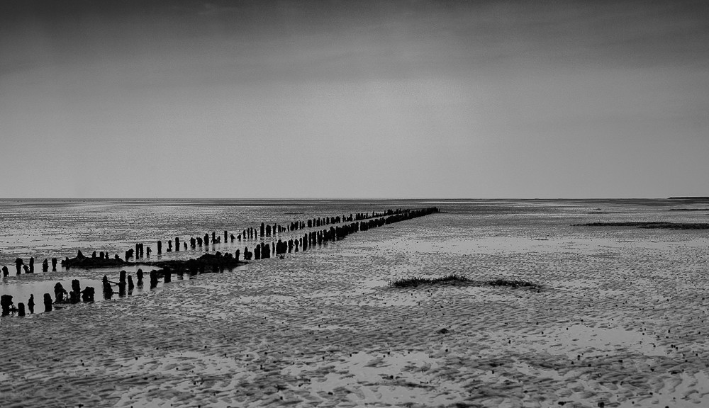 Lines_ – Stefano Livi