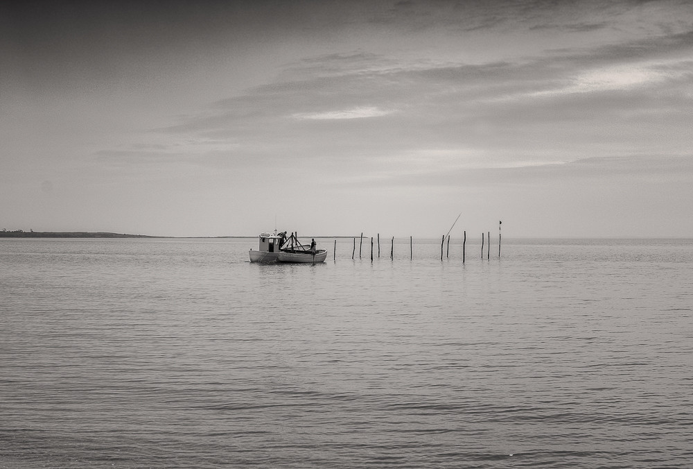 Fishing 1_ – Stefano Livi
