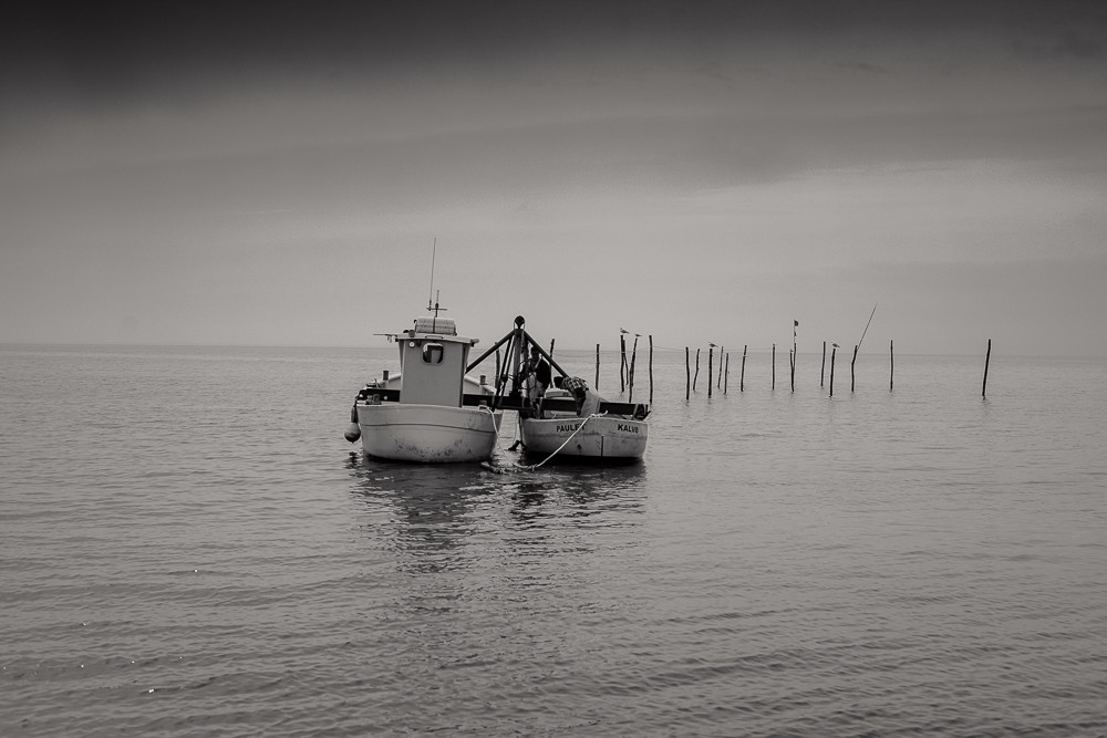 Working together_ – Stefano Livi