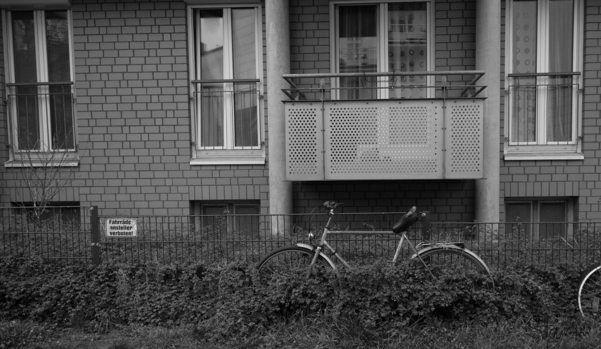 Hækken æder cyklen.... – Michael Starman