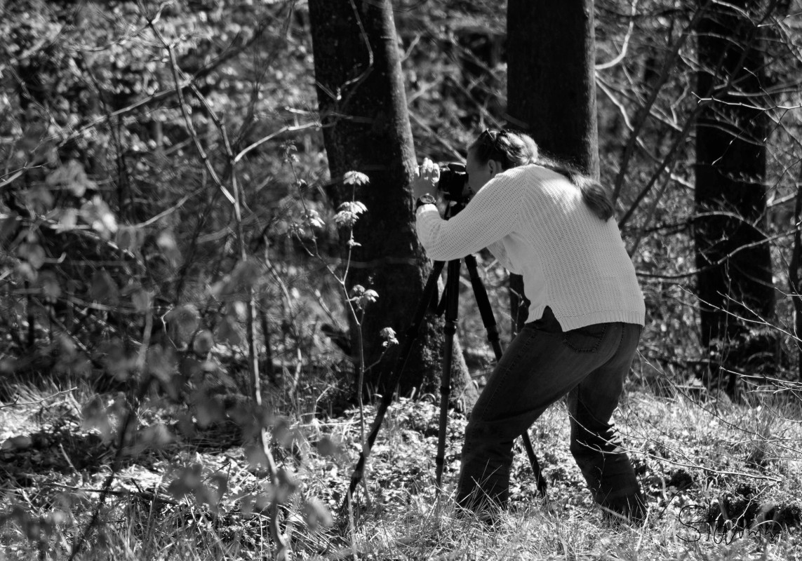 Fotografen på skovtur.  – Michael Starman