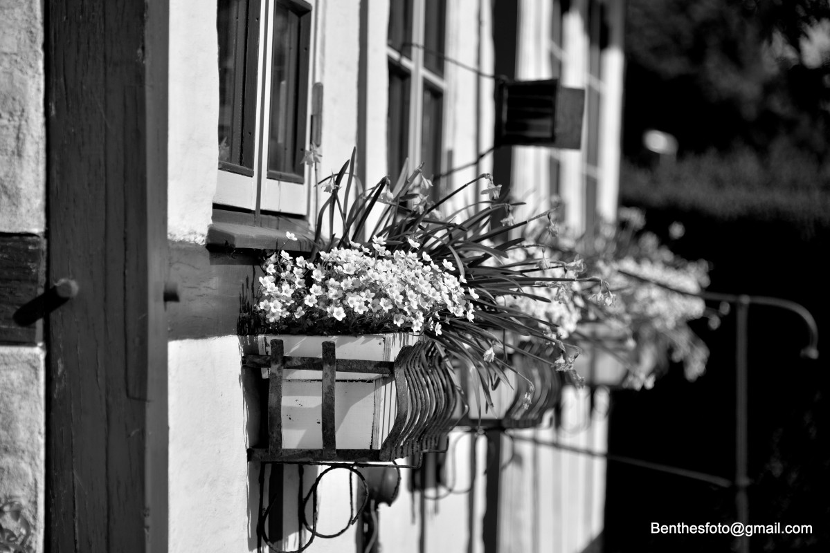 Facade pynt... – Benthe Sørensen
