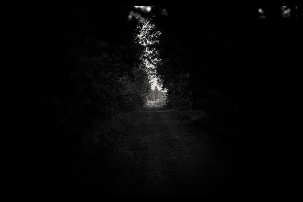 Tunnel vision -1 – Stefano Livi
