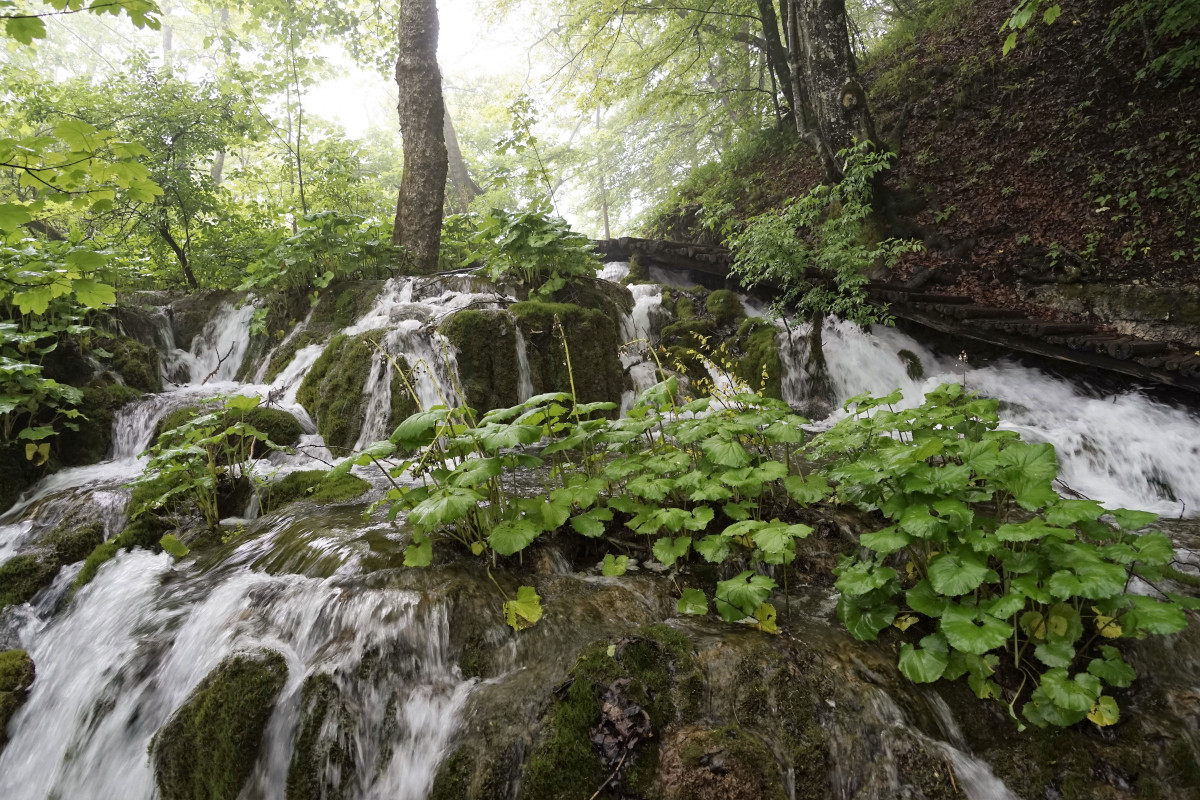 Plitvicka Jezera Croatia – Arne Dyhrberg