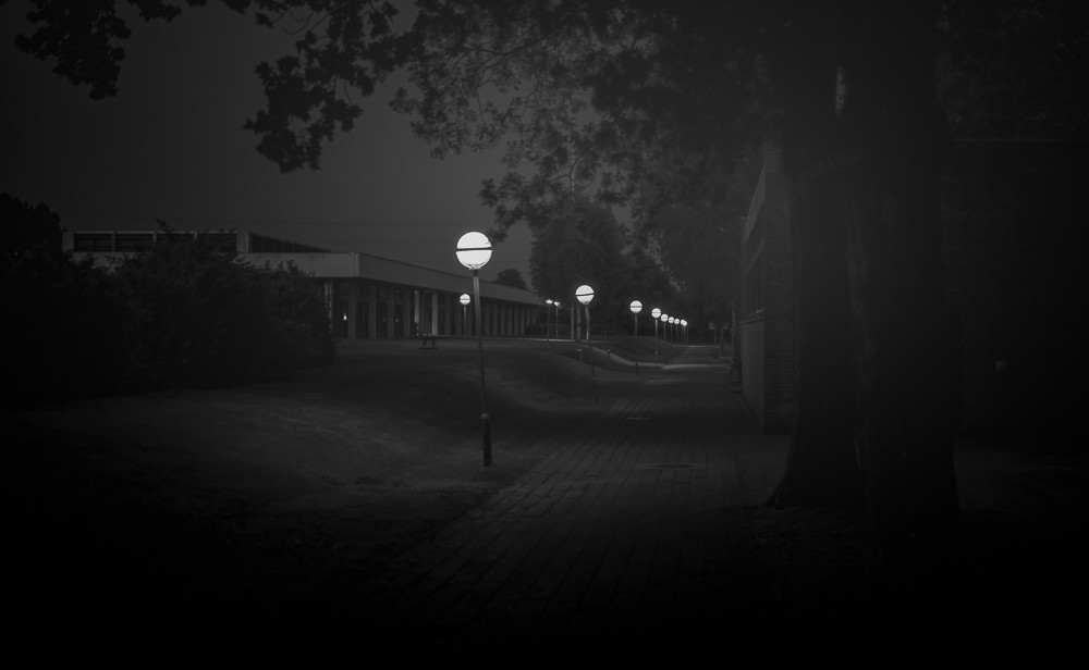 Mist in the path -1 – Stefano Livi