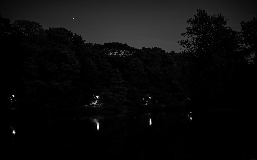 a quiet night in the park -1 – Stefano Livi