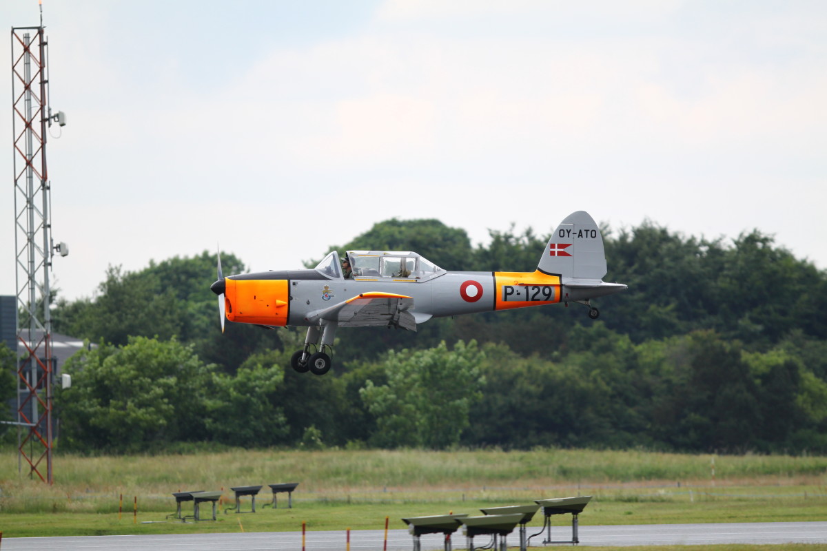 Dansk chipmunk – Poul-Erik Friedrichsen