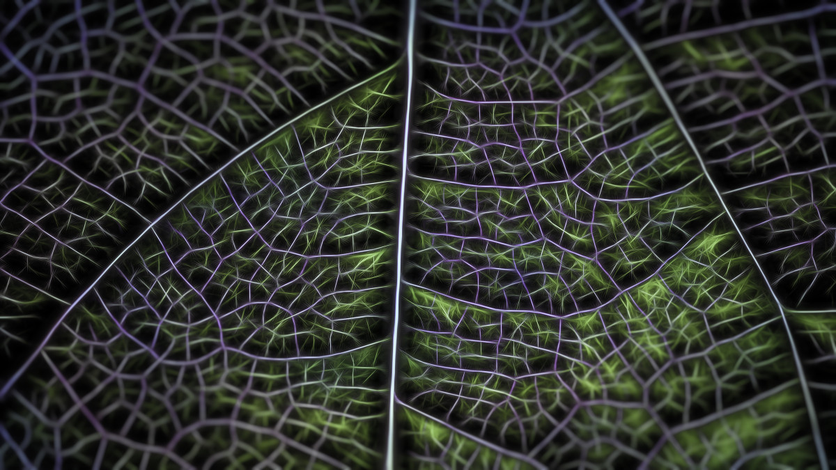 Detaljer – Mikkel