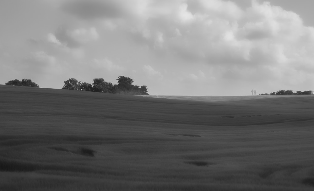 Long walk -1 – Stefano Livi