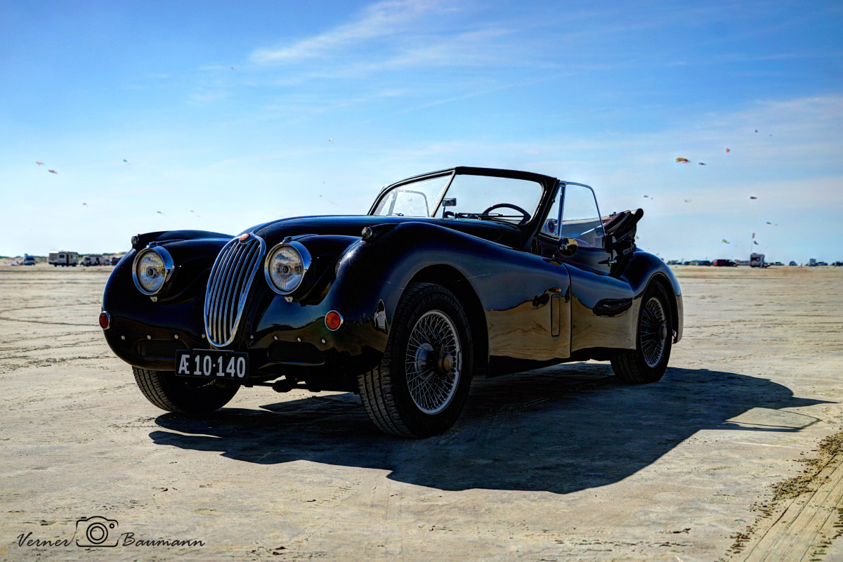 Jaguar på stranden  – verner baumann