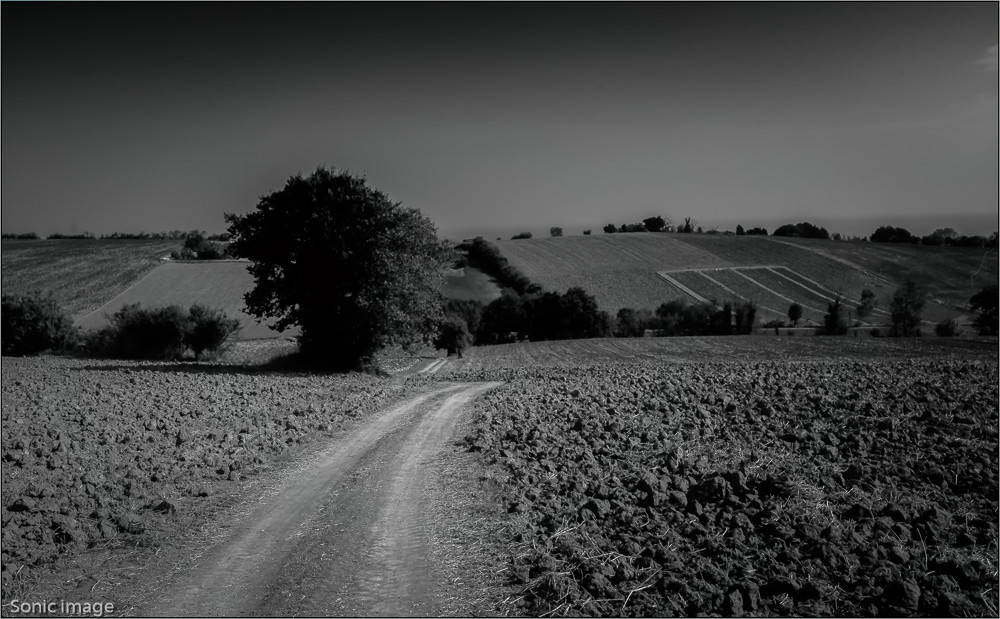 Down the hill-1 – Stefano Livi