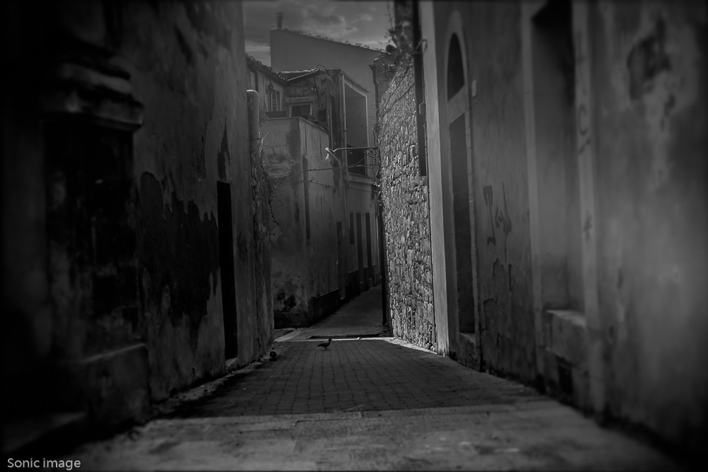 the bird in the side street -1 – Stefano Livi
