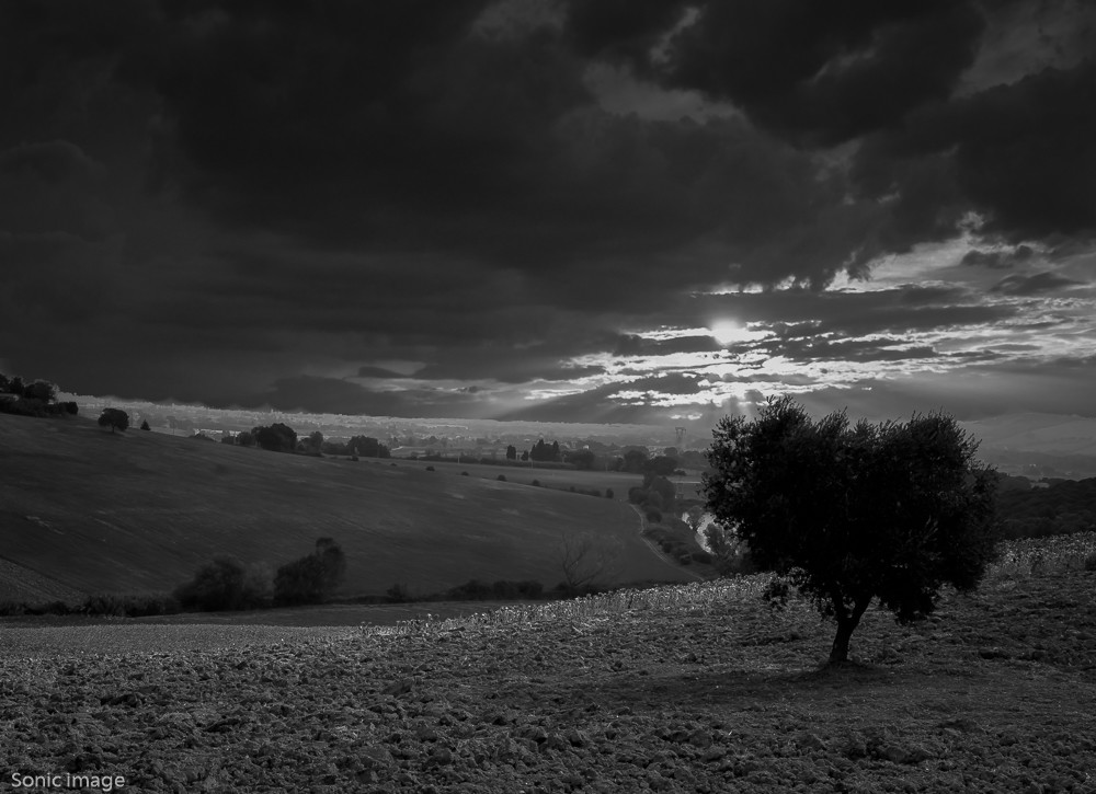 Secret spot -1 – Stefano Livi