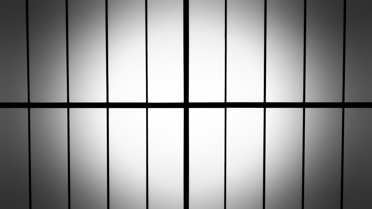Lines – Mikkel