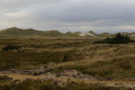 forskelligt i oktober 095