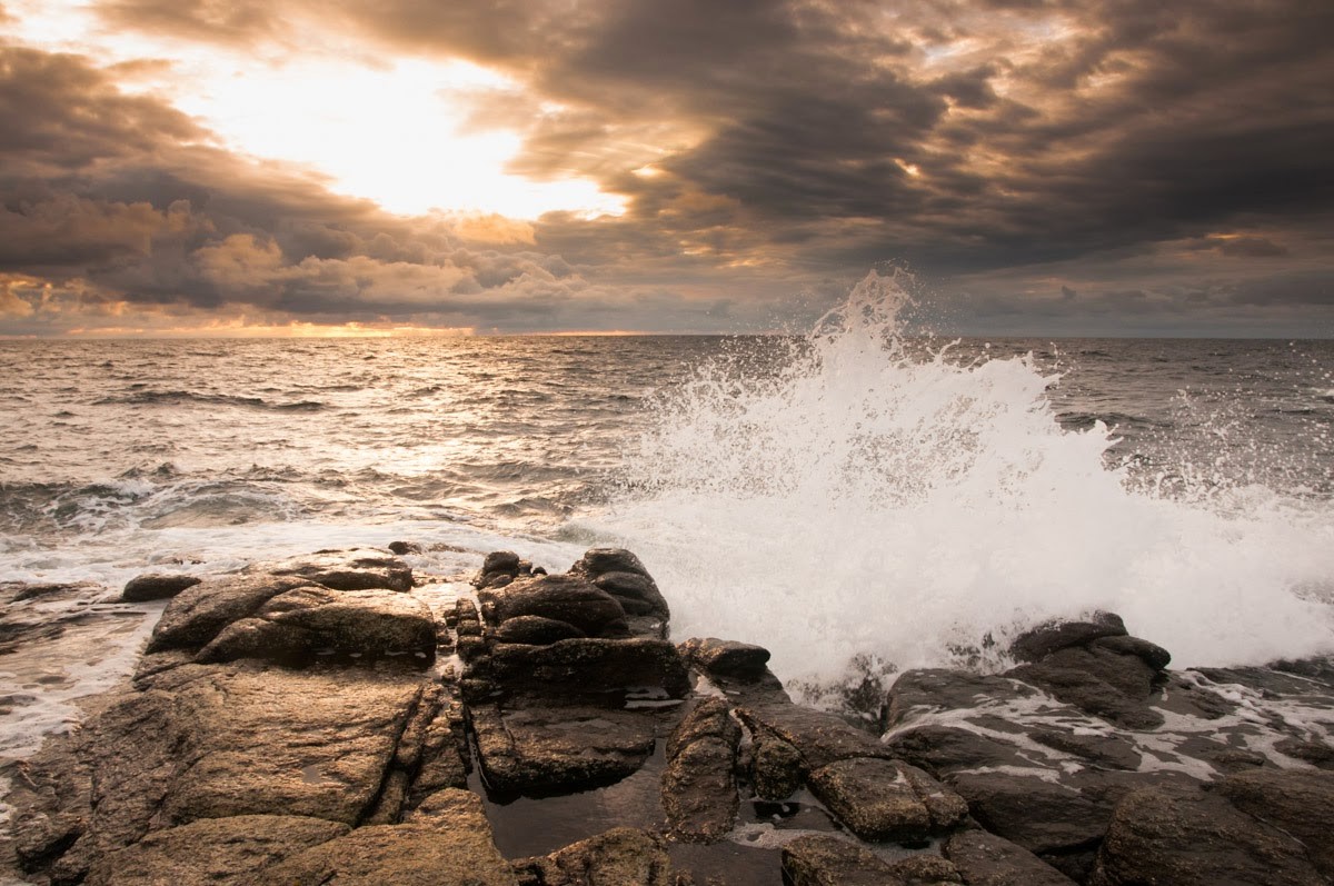 Having a dive ? – Thomas Eckhoff-Nissen
