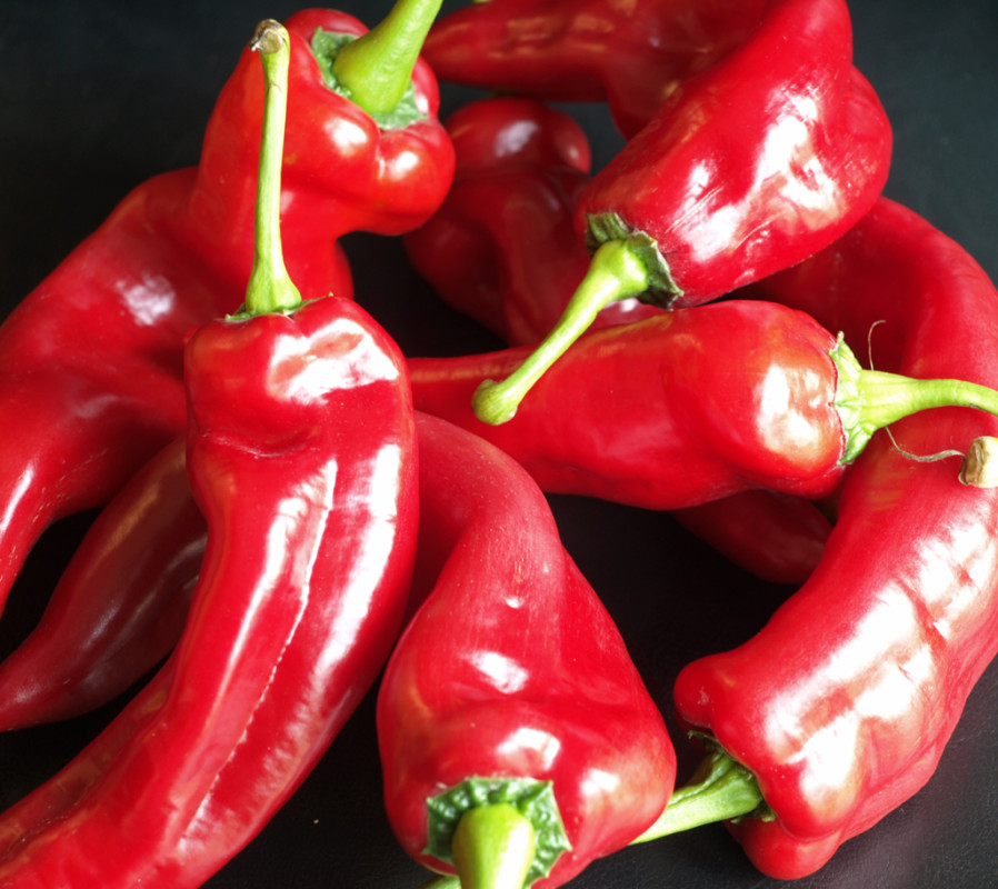 chilli – Hella Jungquist