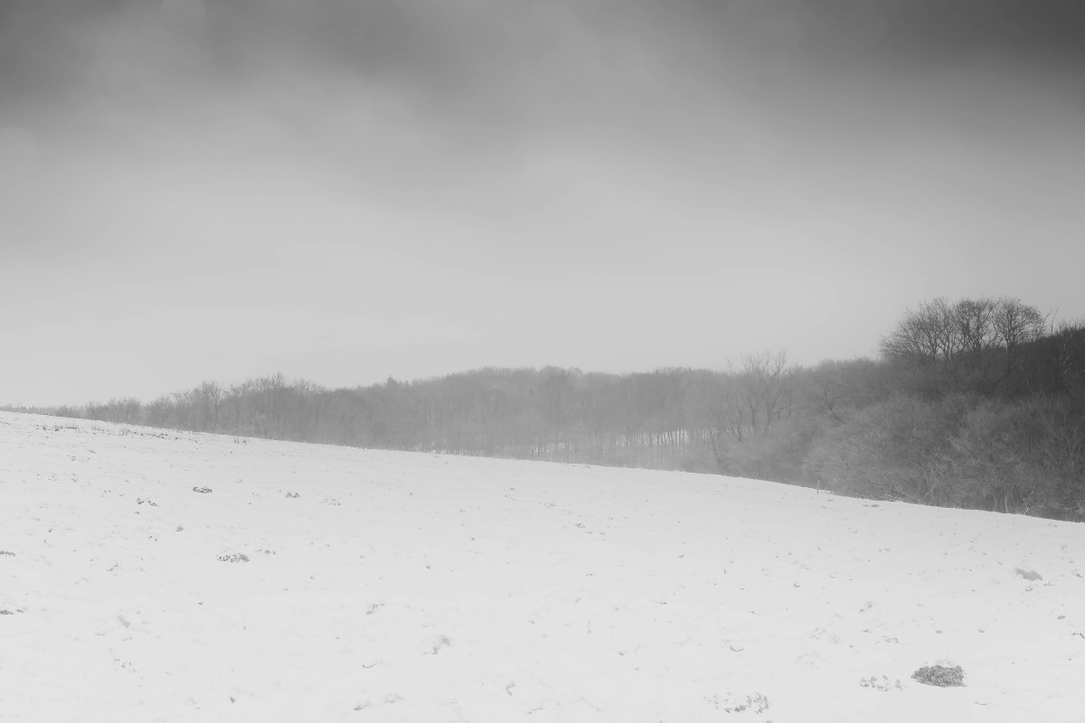 le froid du nord (1 of 1) – Stefano Livi