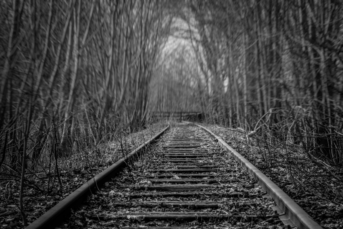 Dead Ahead – Mikkel