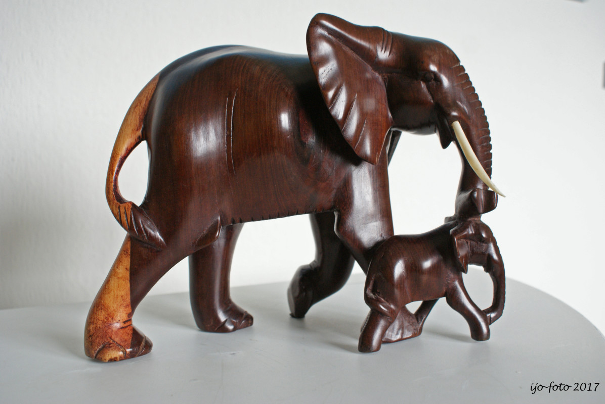 Afrikansk træelefant – Inge Johannsen