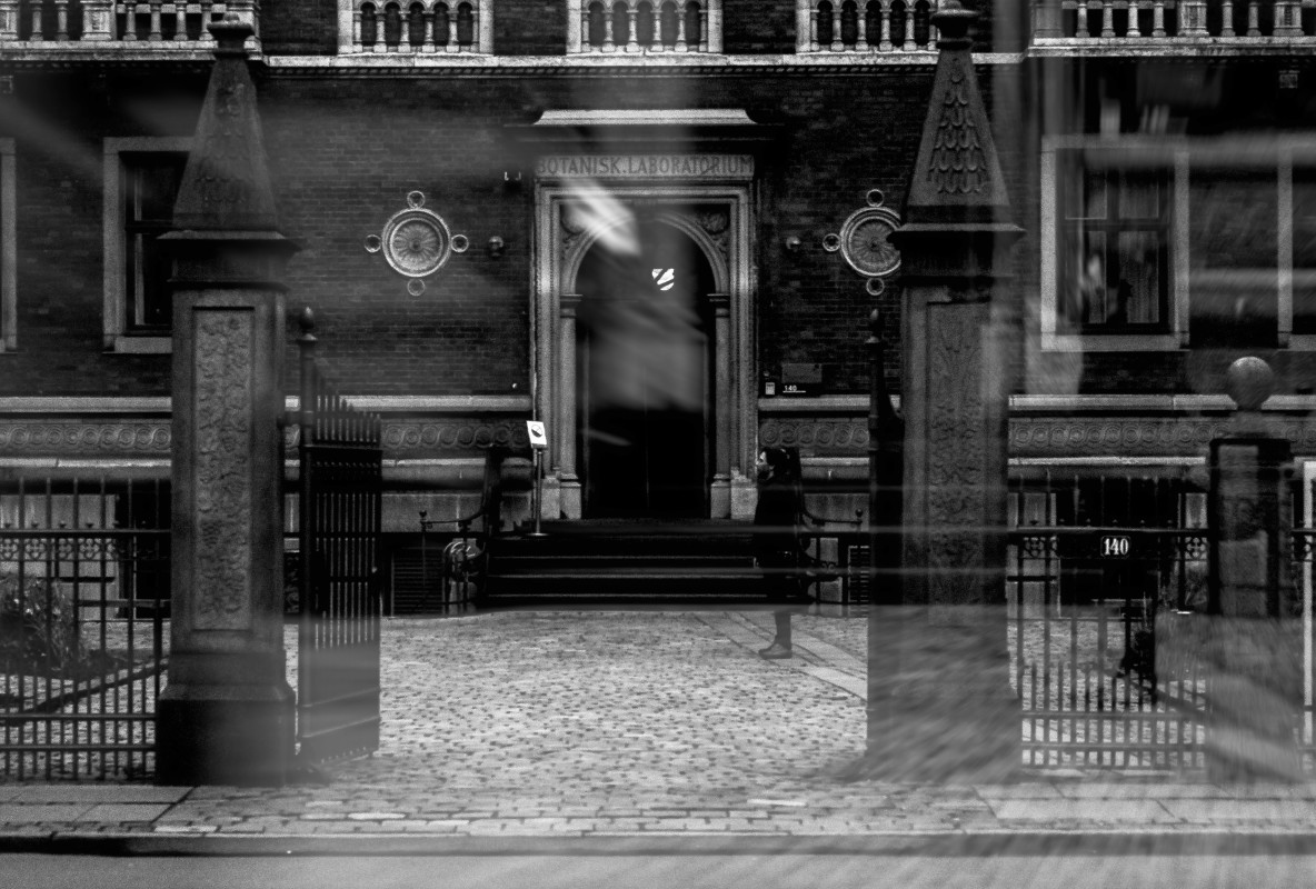 Was I here before - (1 of 1) – Stefano Livi