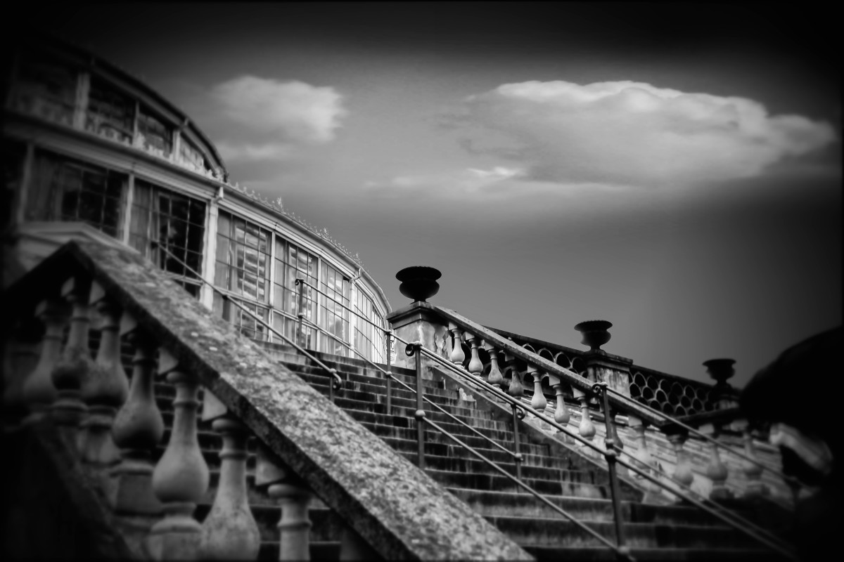 Edens garden  (1 of 1) – Stefano Livi