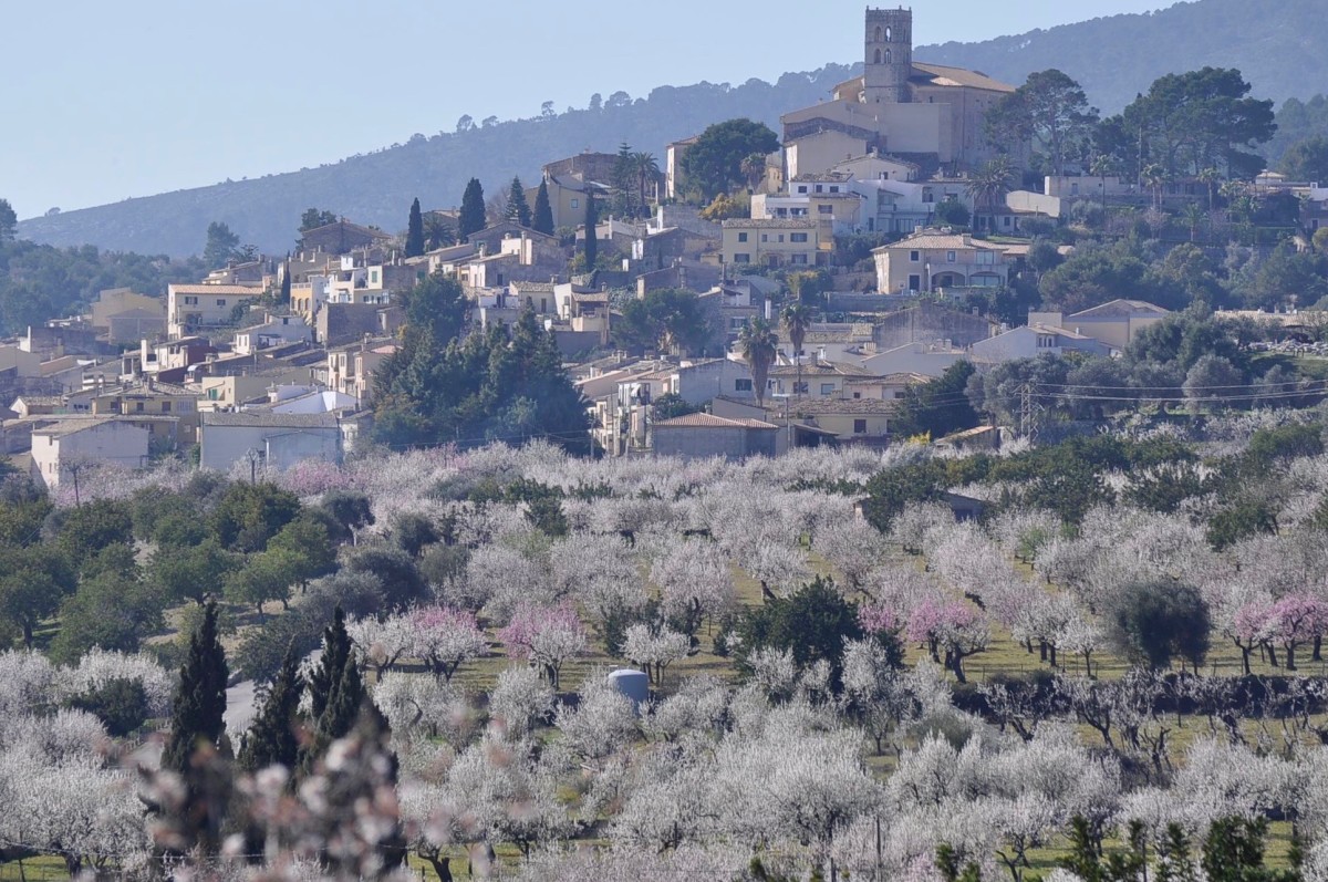 _DSC0286 2 – Gudrun Falten Dahl
