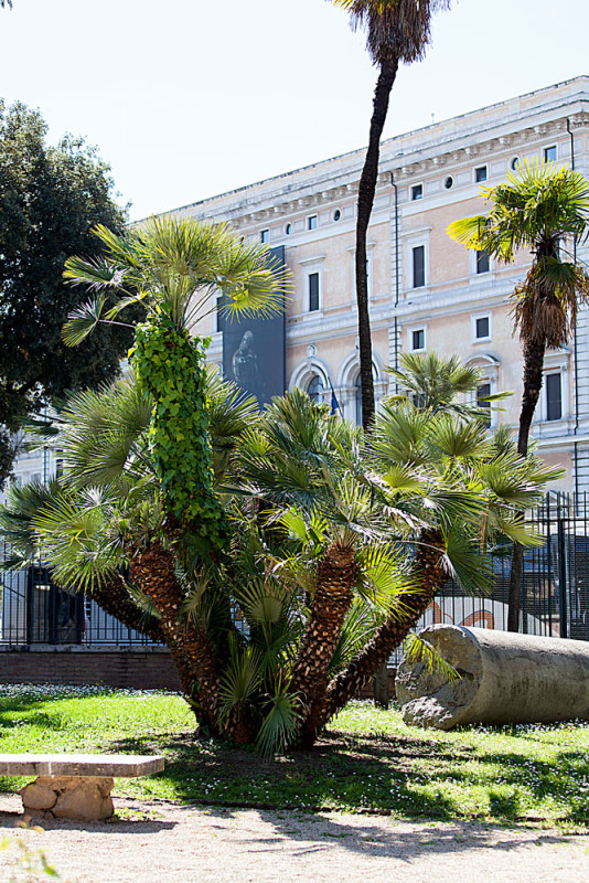 Palme – Hella Jungquist