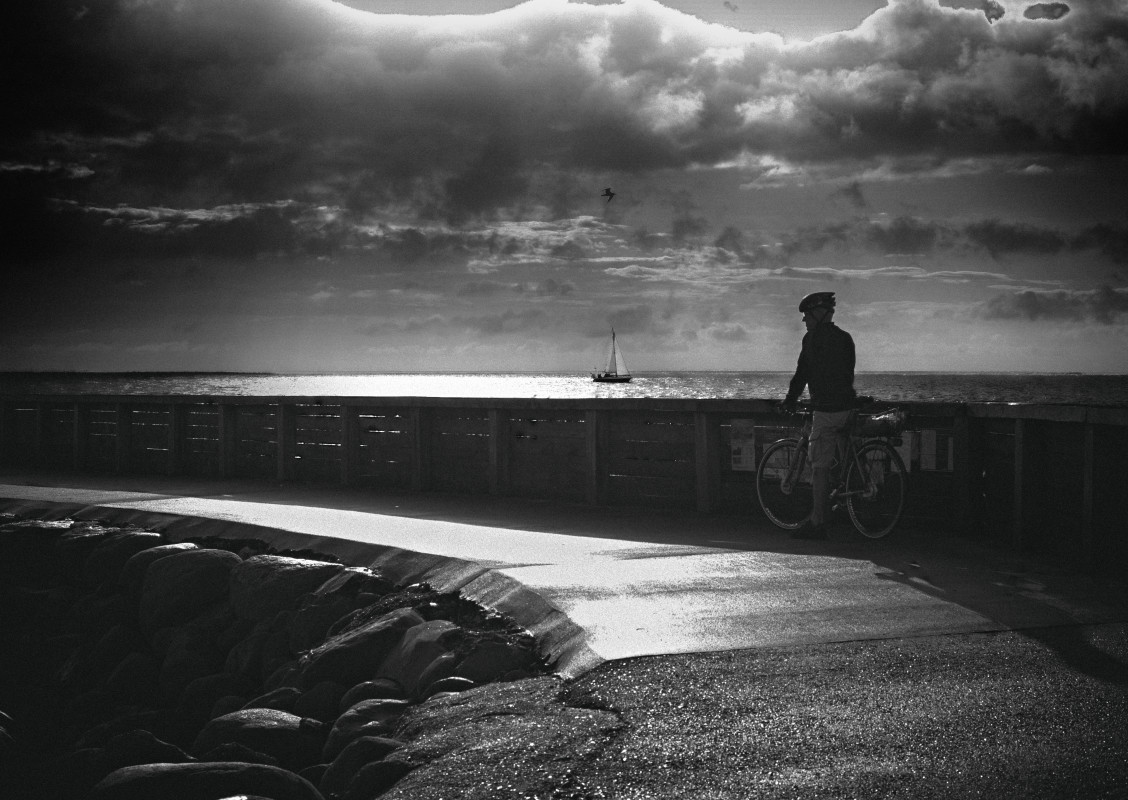 Standing and watching – Stefano Livi