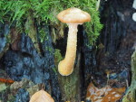 PA010058