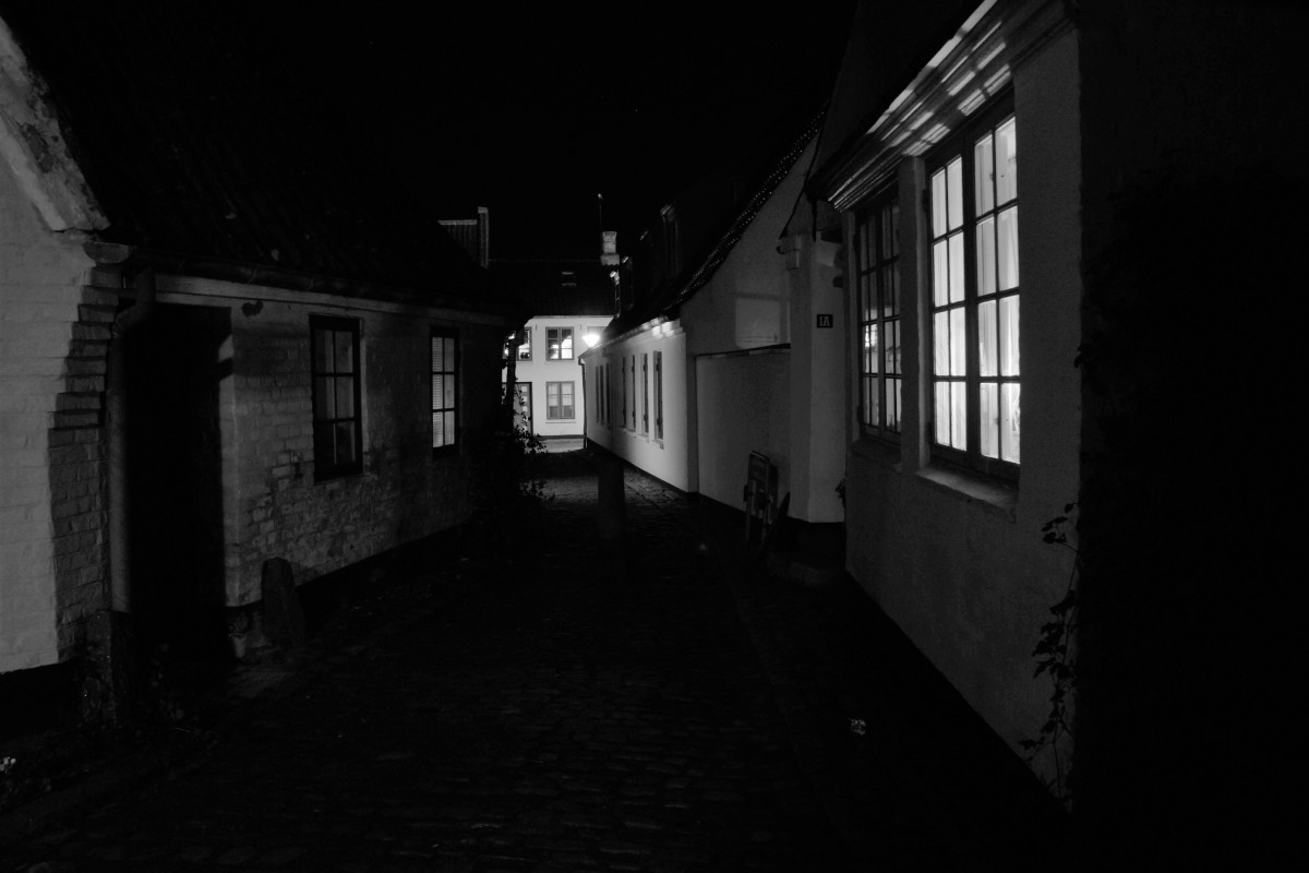 DSC01942 jomfrugang  – hardy johansen