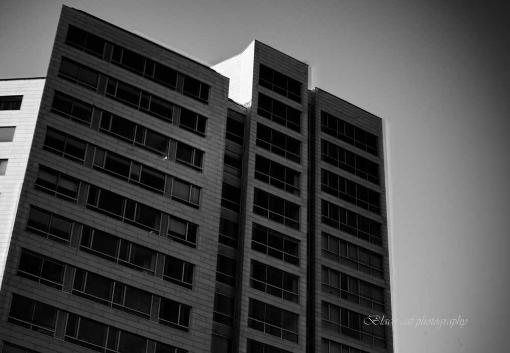 The tall building – Stefano Livi