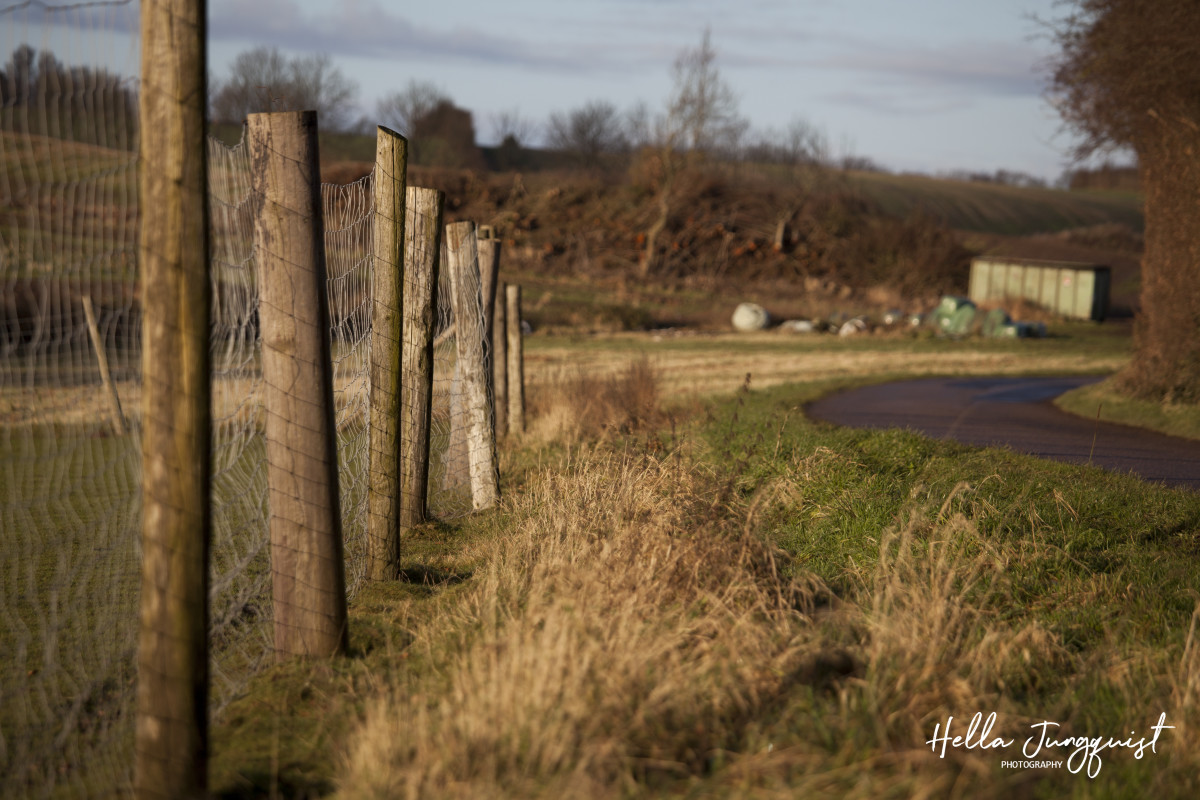 Hegn i svinget – Hella Jungquist