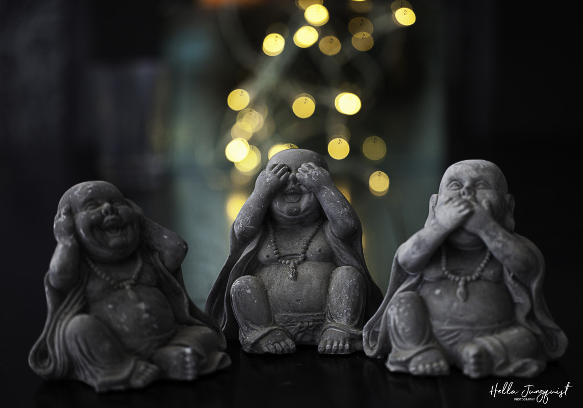 bokeh – Hella Jungquist