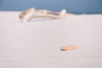 Driftwood