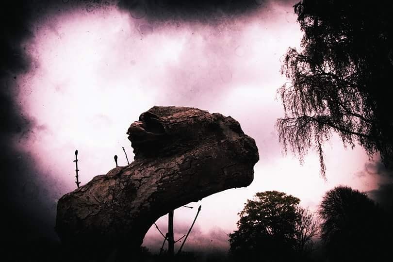 The Face  – Jimmi Lützhøft